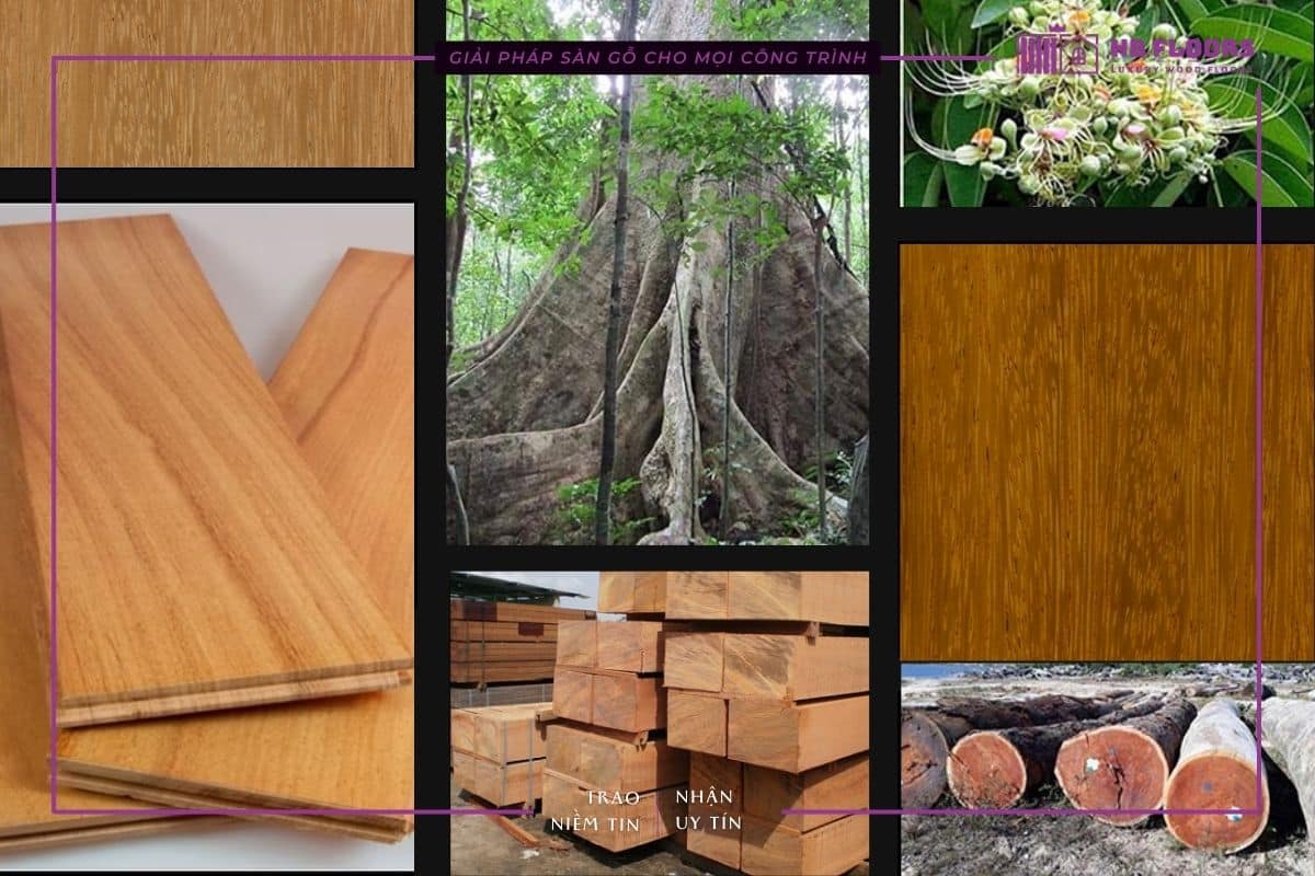 Nguyên liệu gỗ tự nhiên Gõ Đỏ