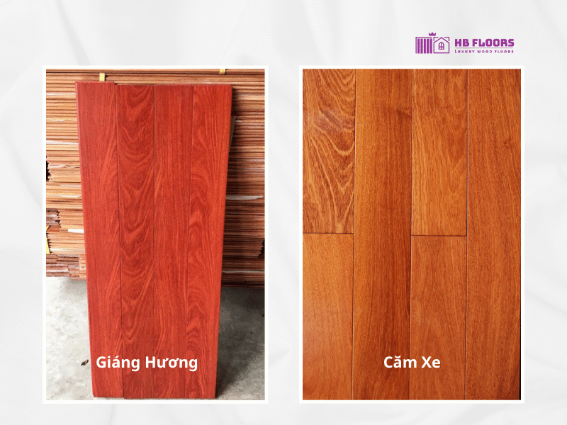 So sánh sàn gỗ Giáng Hương và sàn gỗ Căm Xe