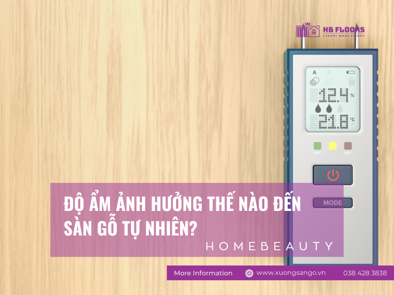 Độ Ẩm Ảnh Hưởng Thế Nào Đến Sàn Gỗ Tự Nhiên? Sự Thật Bạn Cần Biết 1 banner san go tu nhien va do am